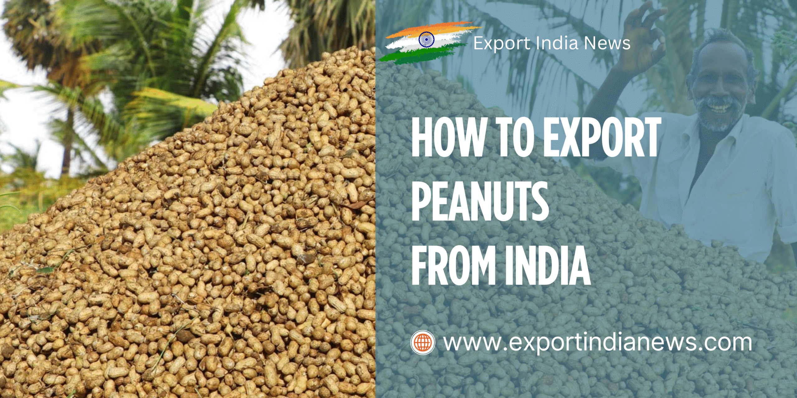 How-to-Export-Peanuts-from-India