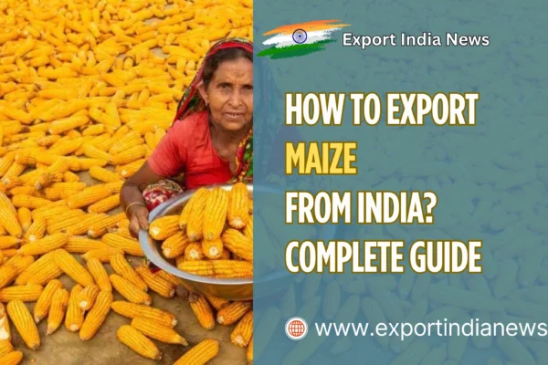 Export Maize from India