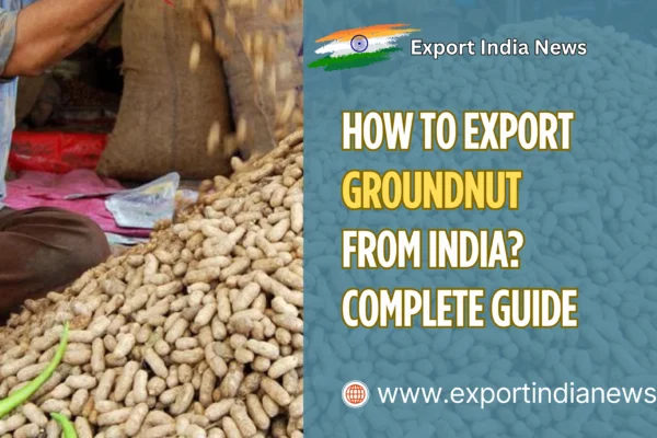 export groundnut from india