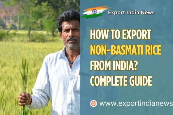 Export Non-Basmati Rice from India