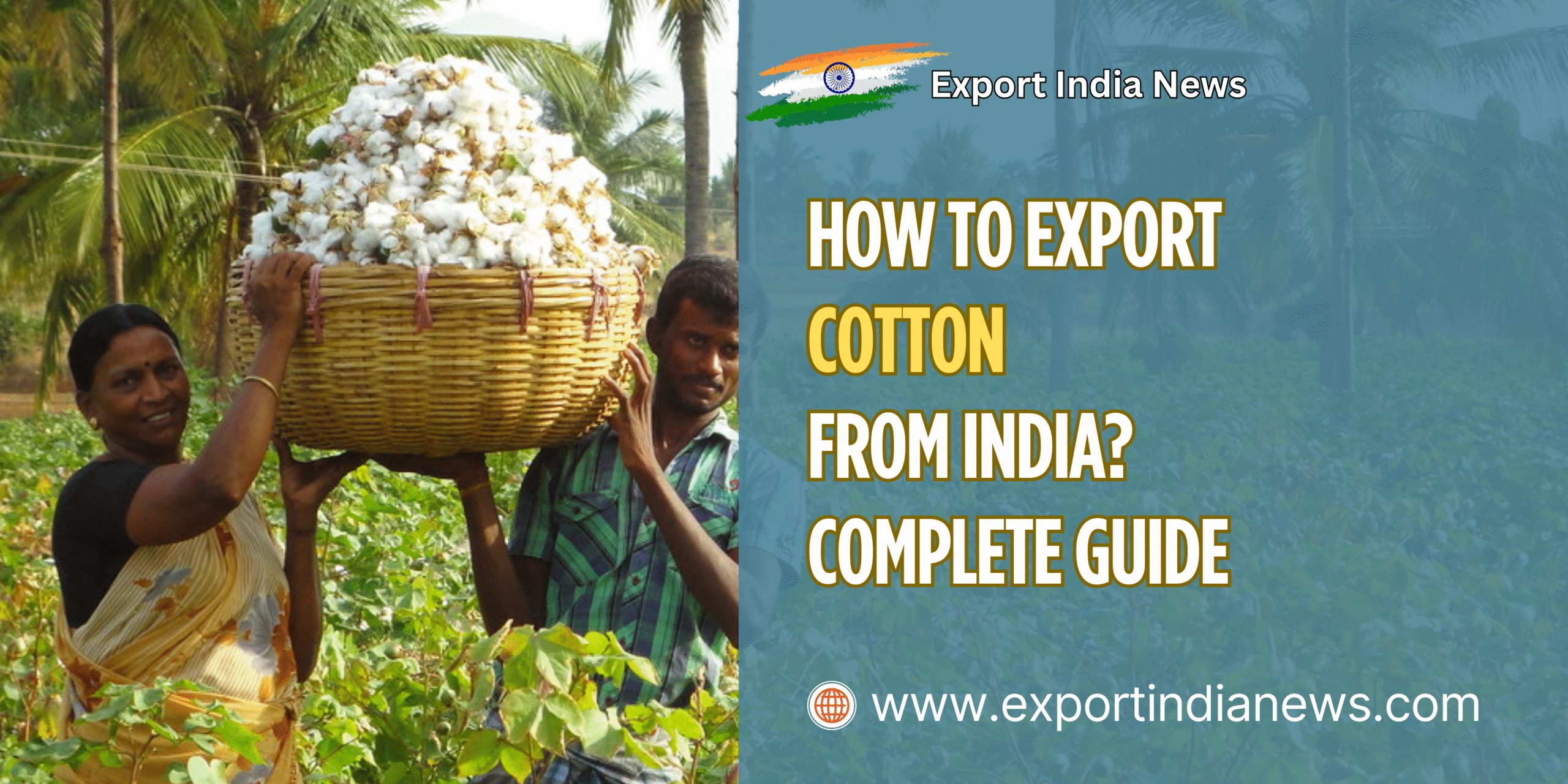 export cotton from India